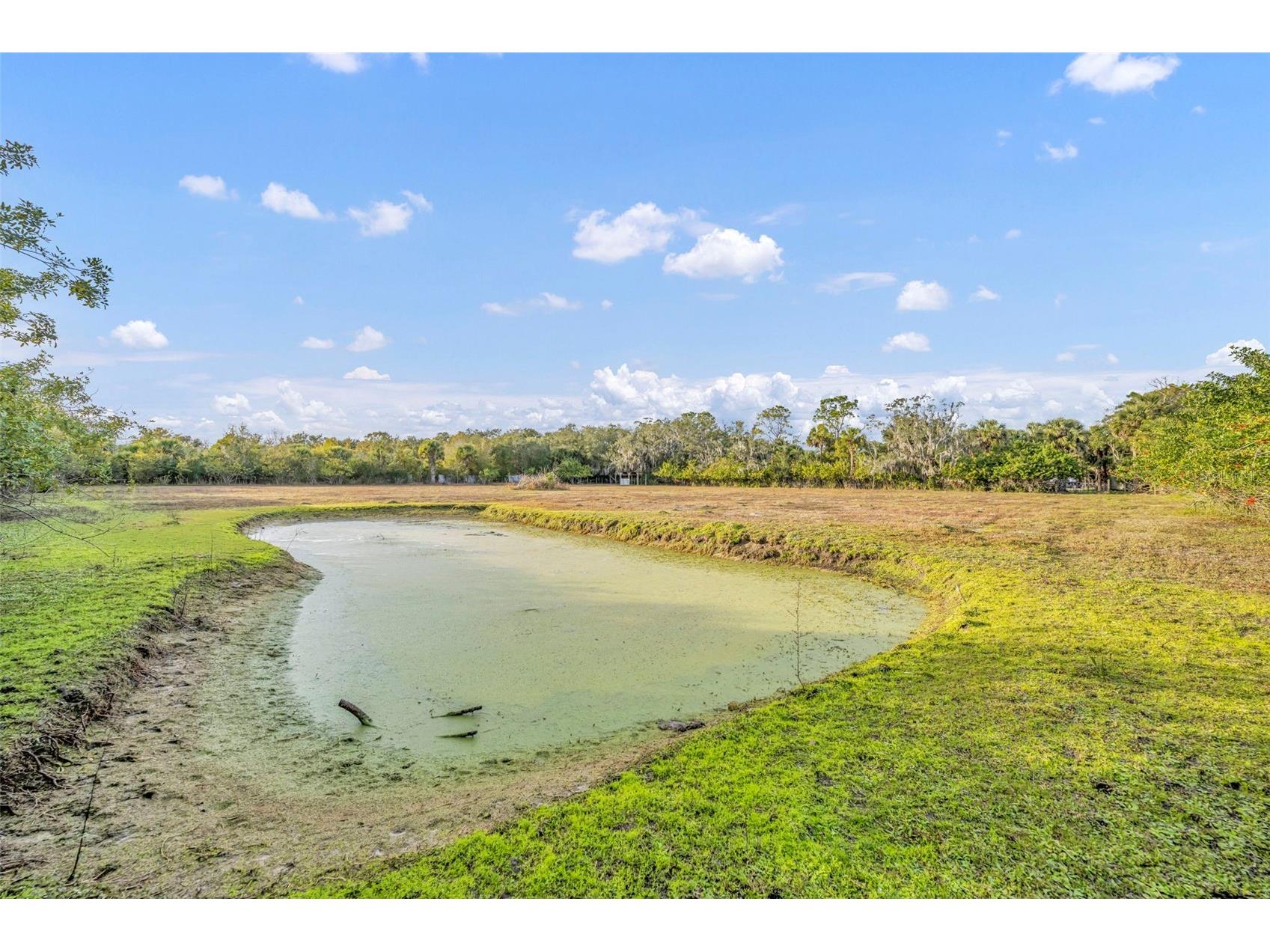 Pine Way Sanford FL 32773 O6376048 image9