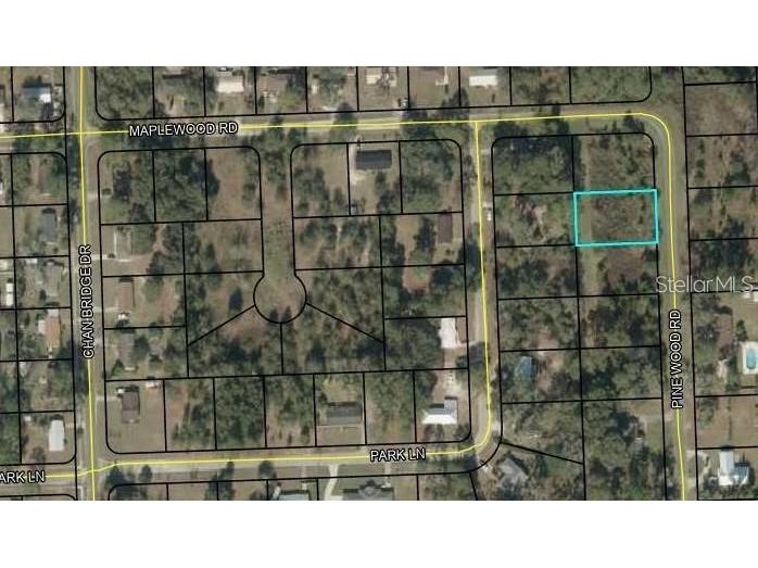 Pine Wood Road Jasper FL 32052 T3533144 image1