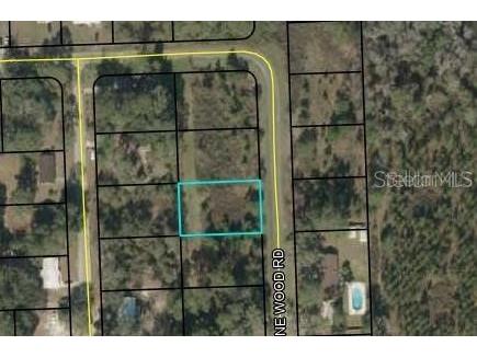 Pine Wood Road Jasper FL 32052 T3533151 image1