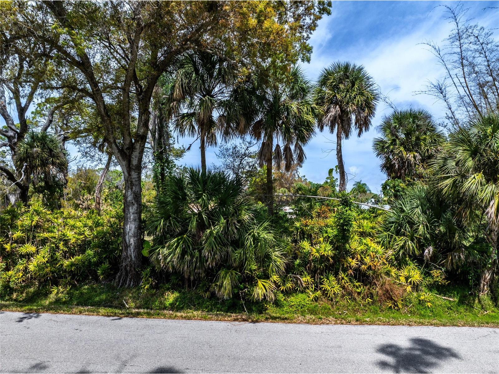 Pineapple Street Englewood FL 34223 D6146625 image14