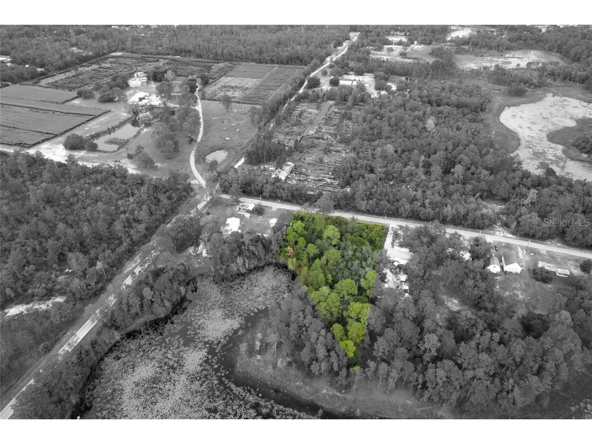 Pinecrest Road Eustis FL 32736 O6346981 image2