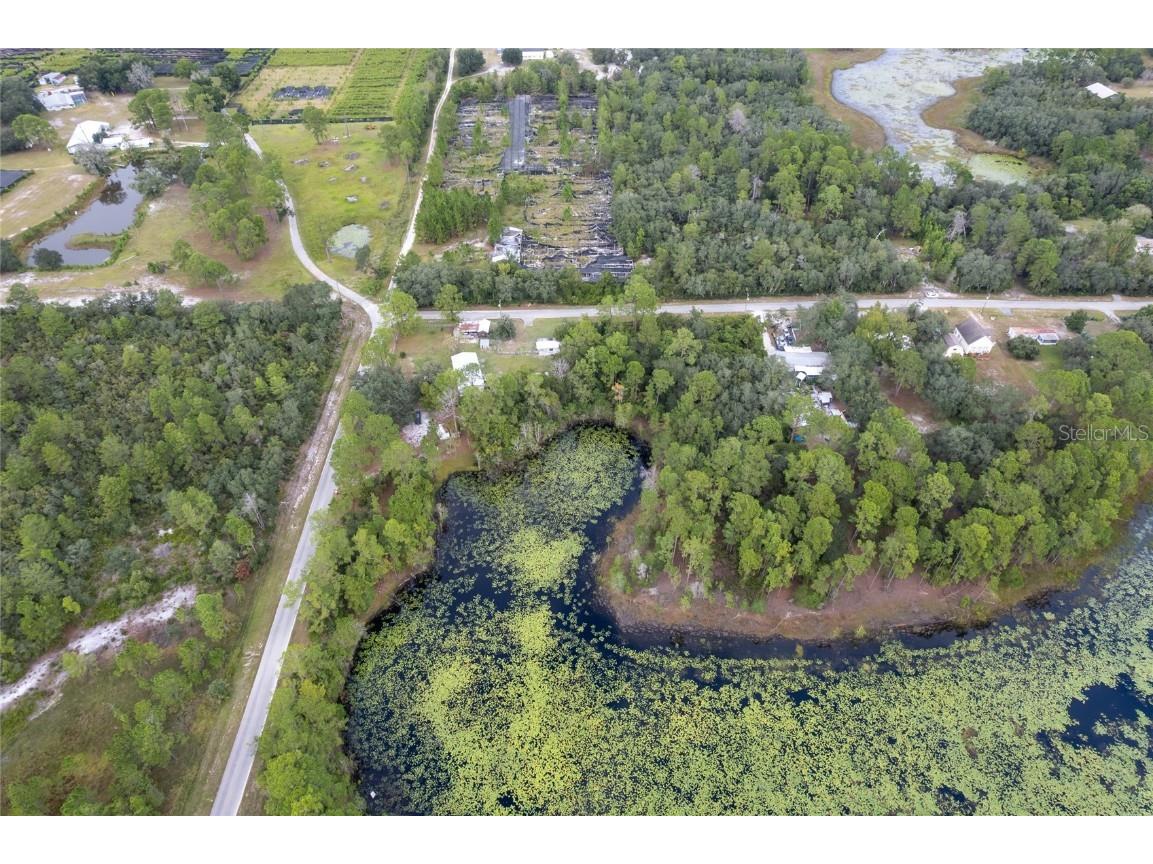 Pinecrest Road Eustis FL 32736 O6346981 image6