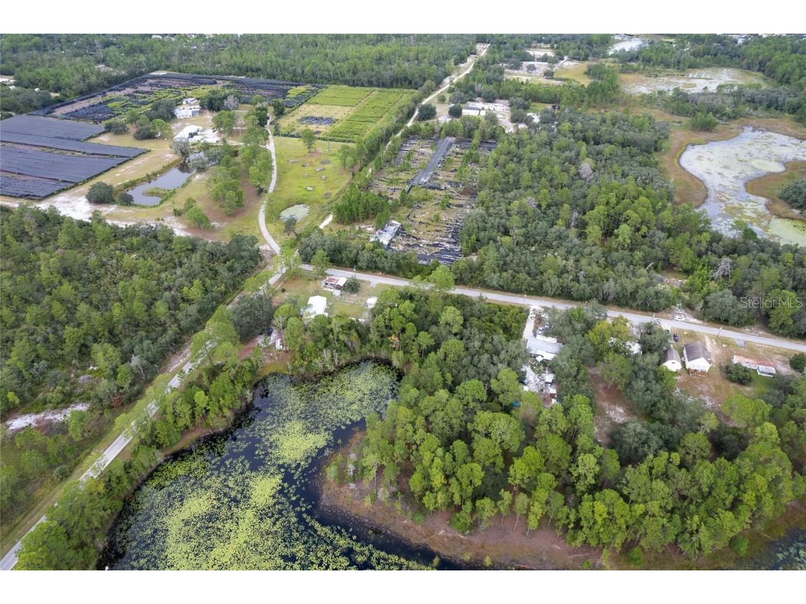 Pinecrest Road Eustis FL 32736 O6346981 image7