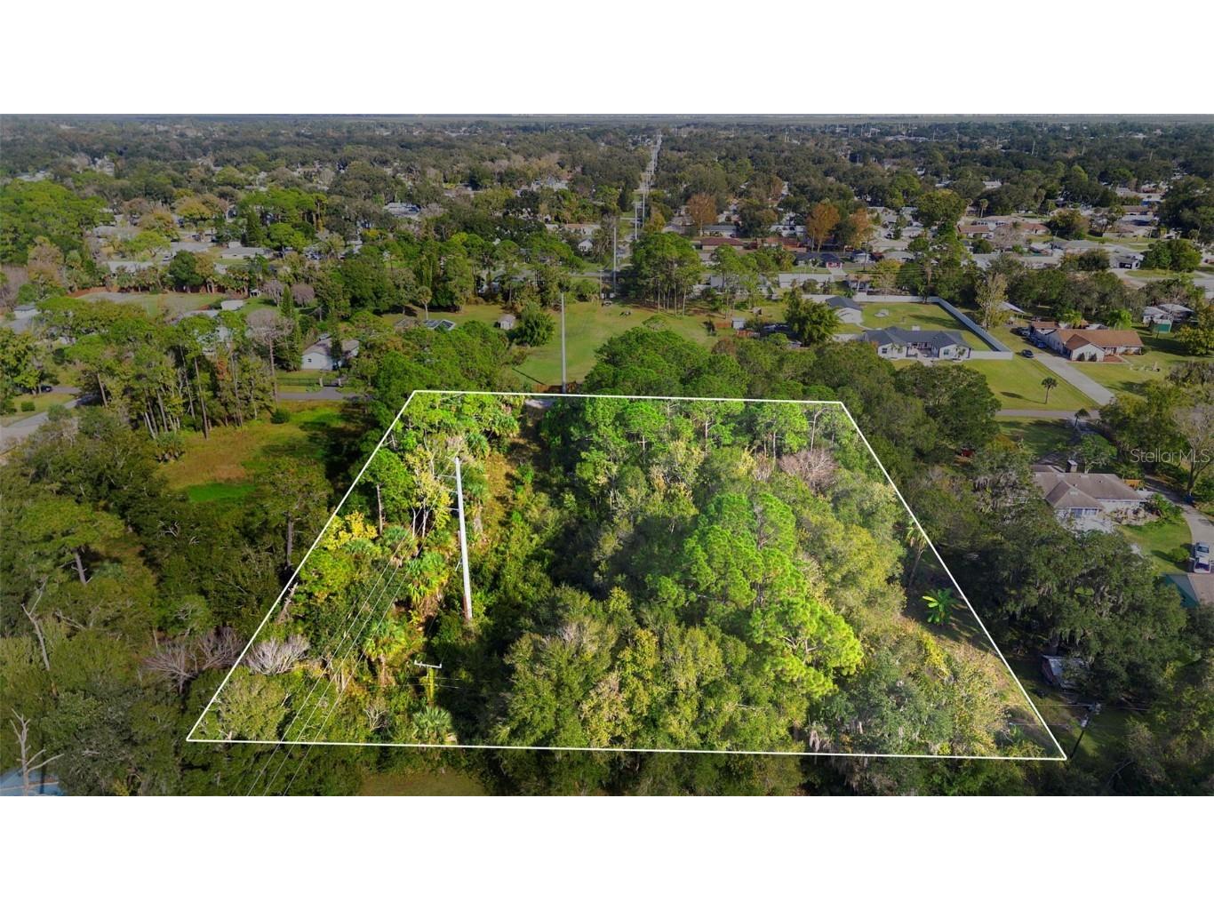 Pinedale Road Edgewater FL 32132 NS1086738 image1