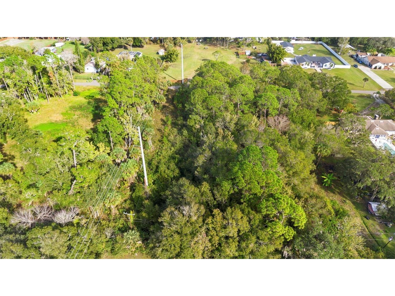 Pinedale Road Edgewater FL 32132 NS1086738 image13