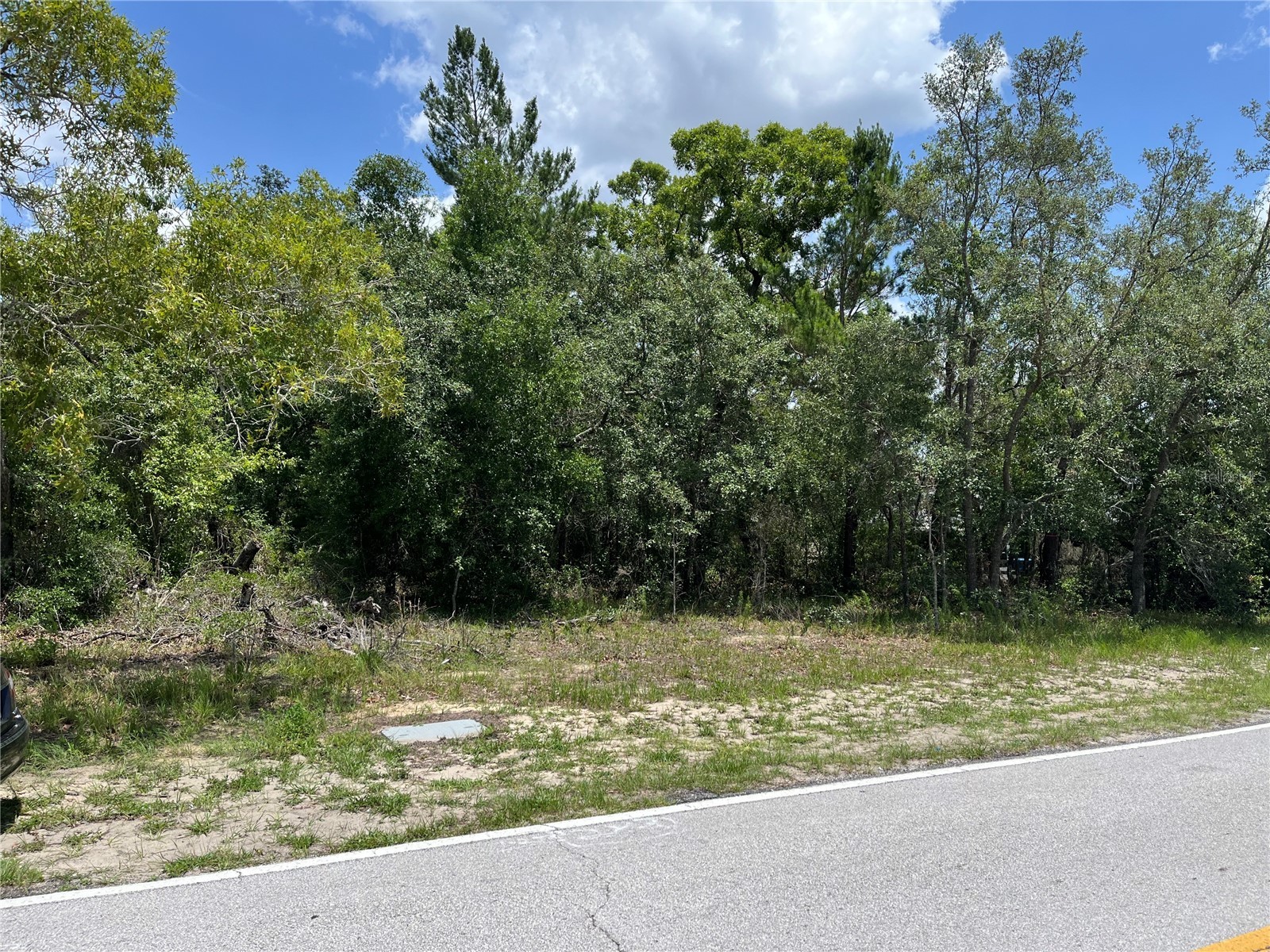 Pinehurst Drive Spring Hill FL 34606 W7886095 image1