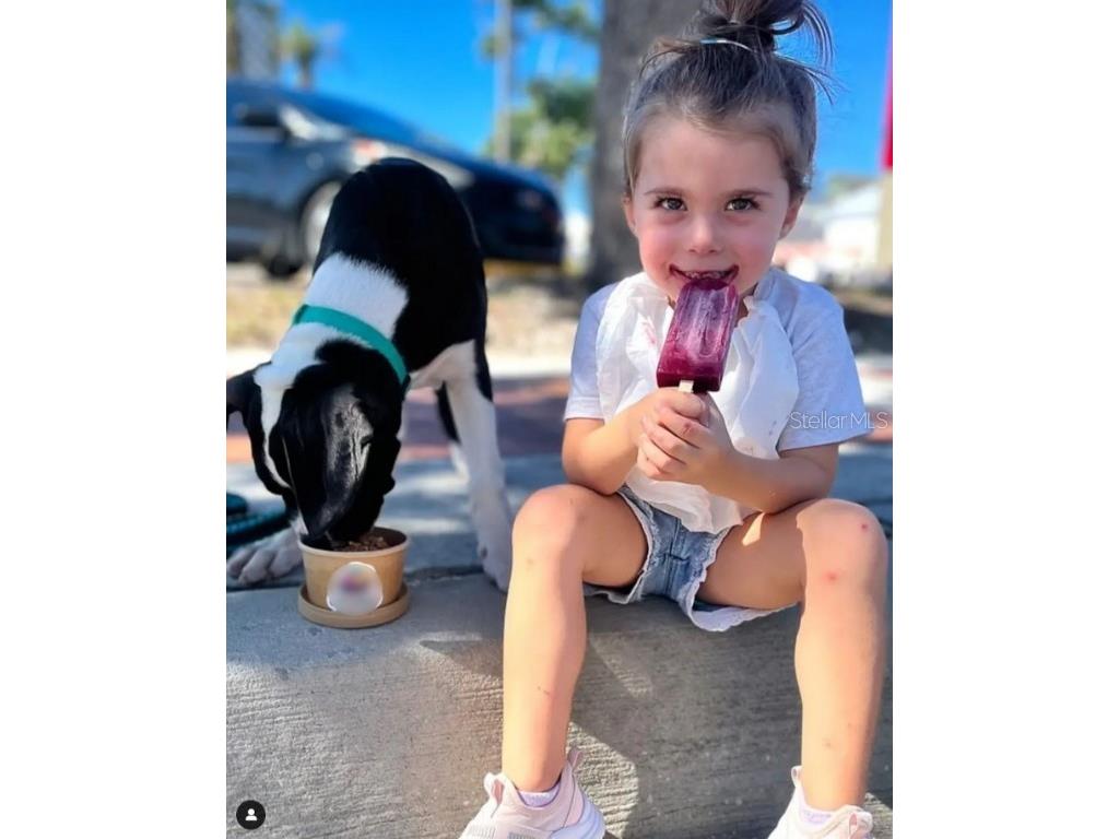  Pinellas Park FL 33781 U8245099 image1