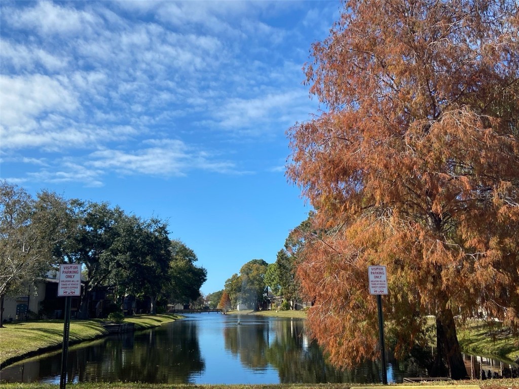  Pinellas Park FL 33782 U8189831 image1