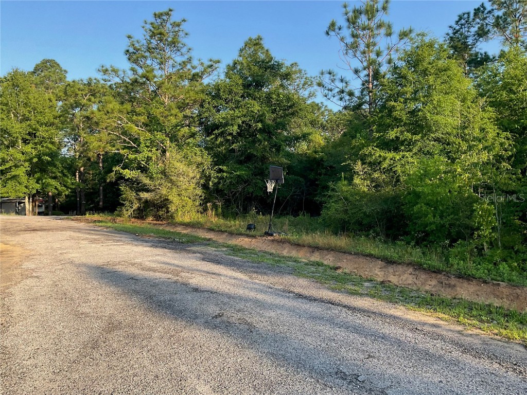 Pinetree Lane Defuniak Springs FL 32433 U8244892 image14