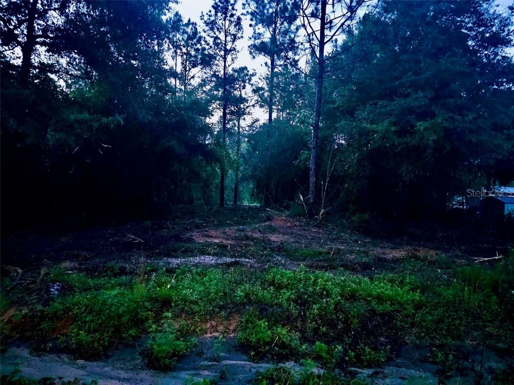 Pinetree Lane Defuniak Springs FL 32433 U8244892 image16