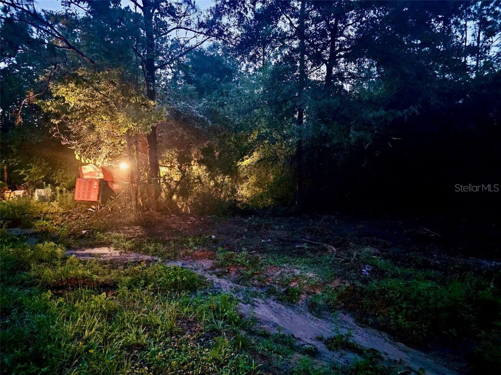 Pinetree Lane Defuniak Springs FL 32433 U8244892 image17