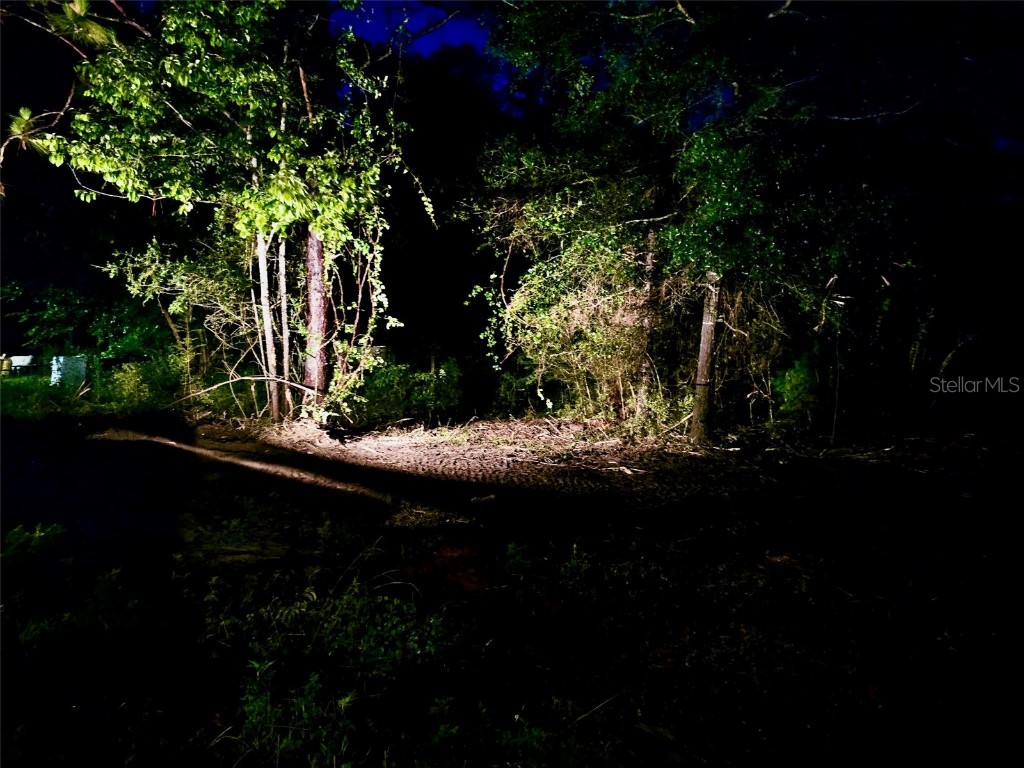 Pinetree Lane Defuniak Springs FL 32433 U8244892 image21