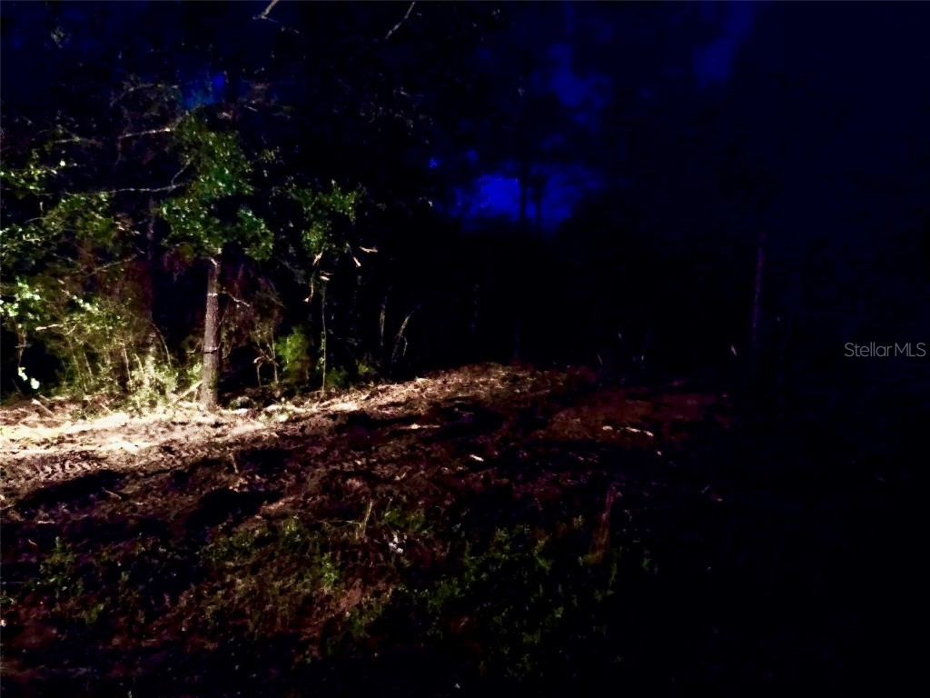 Pinetree Lane Defuniak Springs FL 32433 U8244892 image22