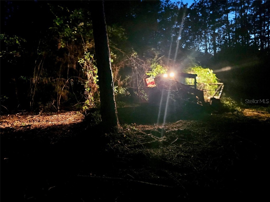 Pinetree Lane Defuniak Springs FL 32433 U8244892 image23