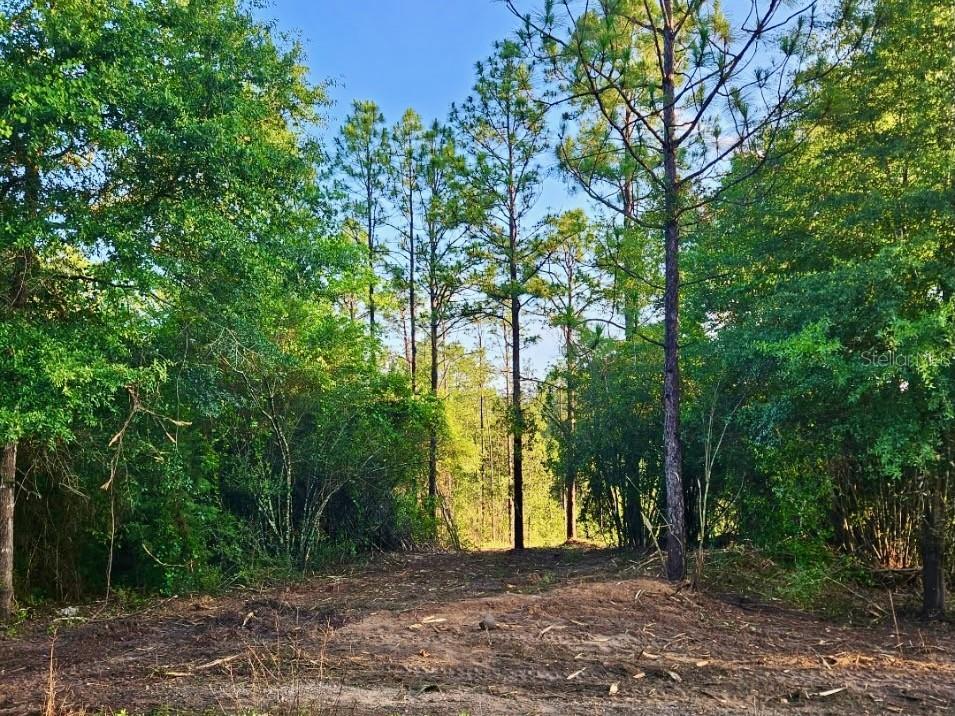 Pinetree Lane Defuniak Springs FL 32433 U8244892 image25