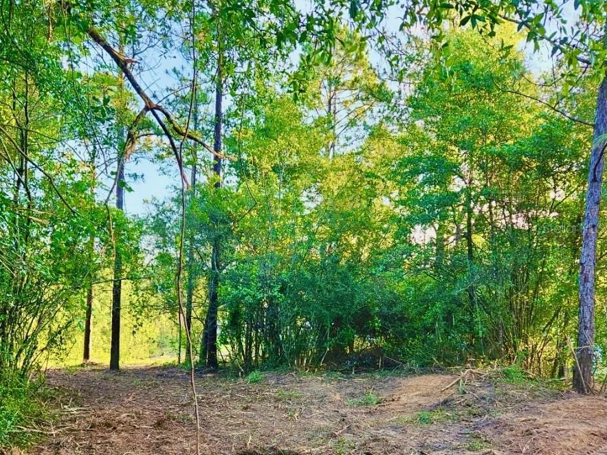 Pinetree Lane Defuniak Springs FL 32433 U8244892 image26