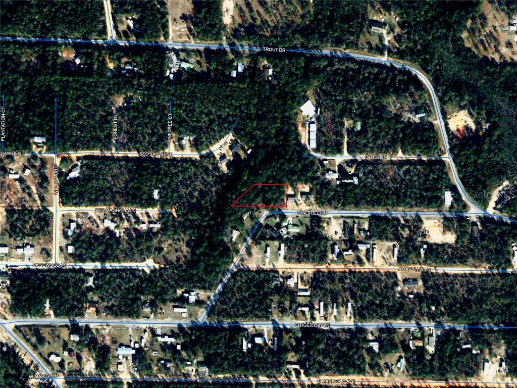 Pinetree Lane Defuniak Springs FL 32433 U8244892 image38