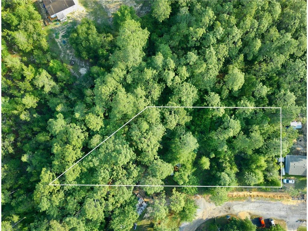 Pinetree Lane Defuniak Springs FL 32433 U8244892 image8