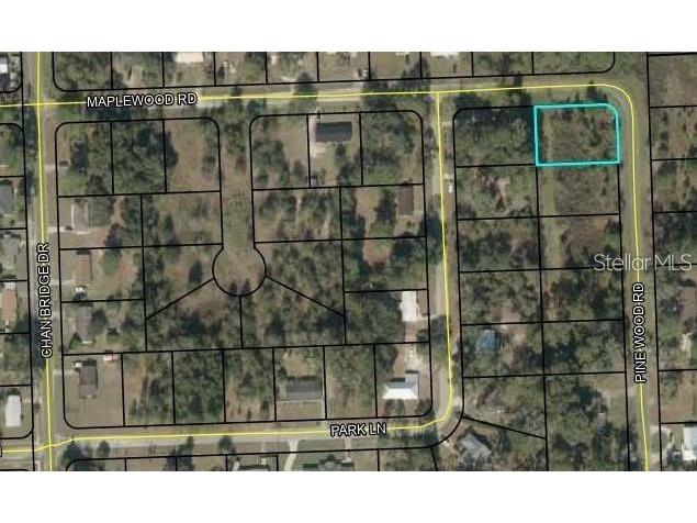 Pinewood Road Jasper FL 32052 T3533169 image1