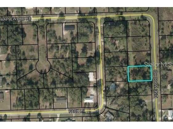 Pinewood Road Jasper FL 32052 T3533175 image1