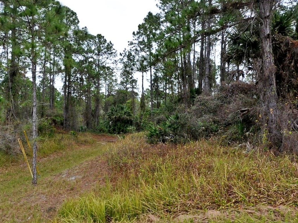 Pinewood Street North Port FL 34288 C7505214 image1