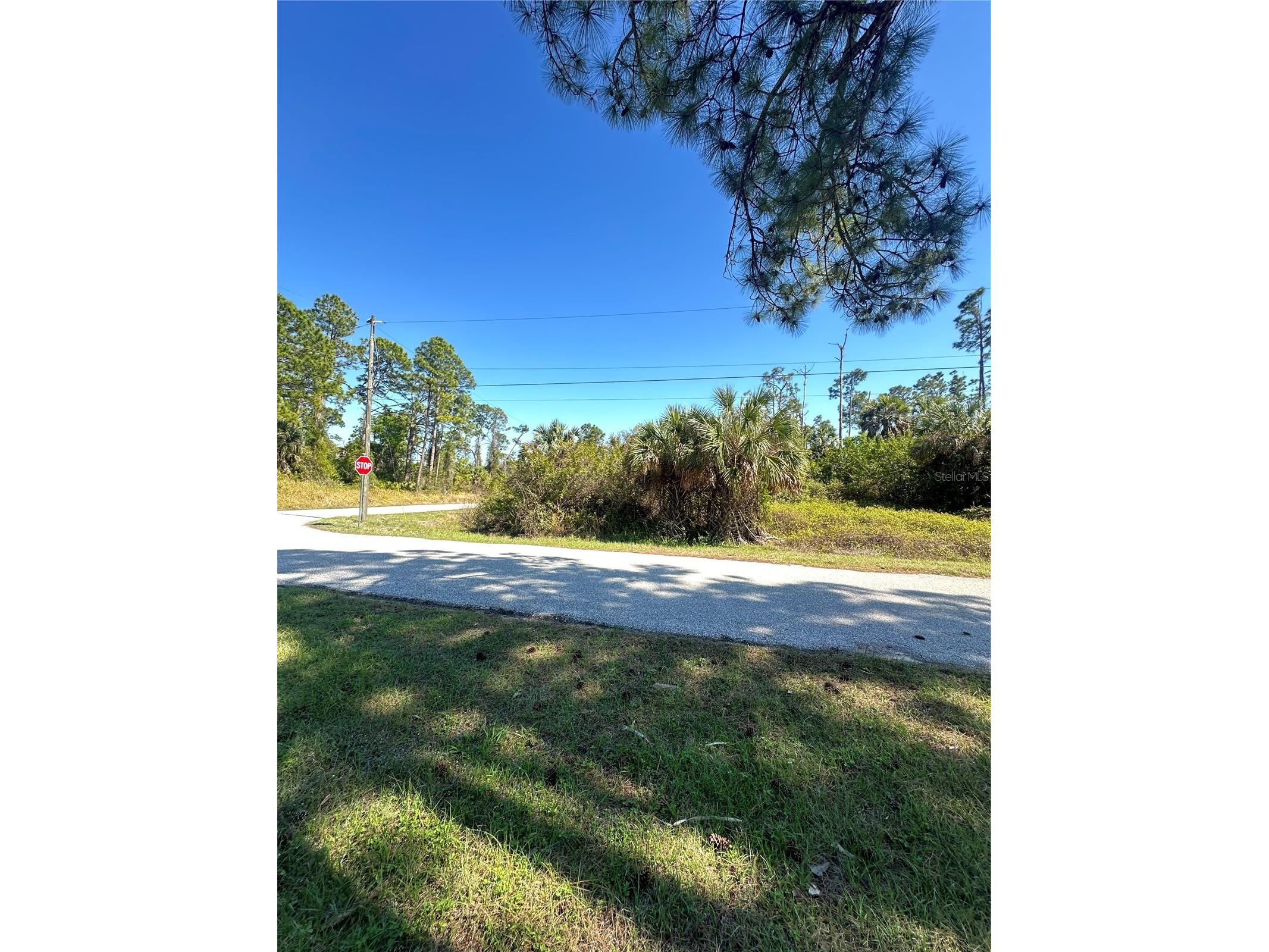 Pinewood Street North Port FL 34288 TB8489741 image6