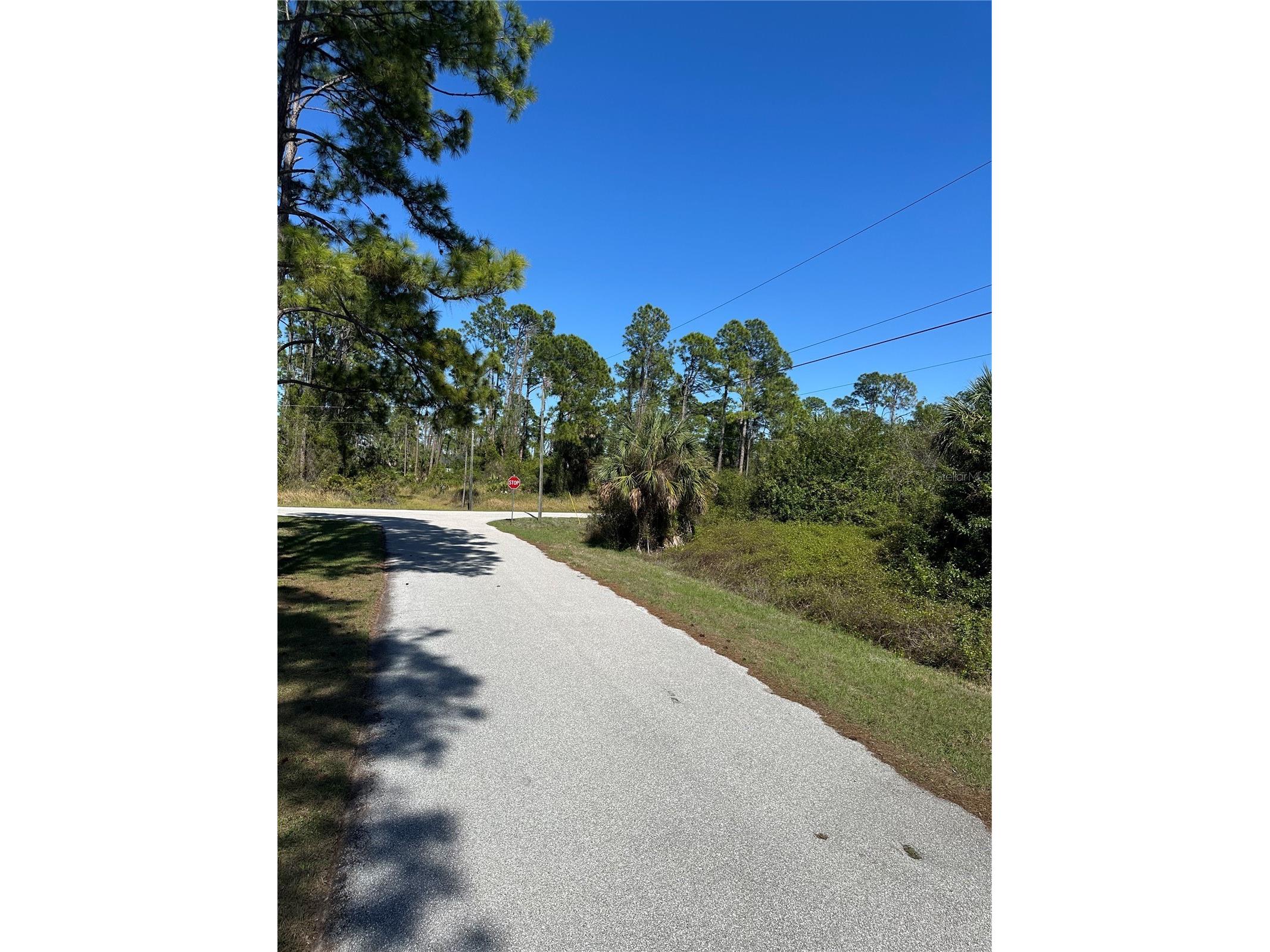 Pinewood Street North Port FL 34288 TB8489741 image7