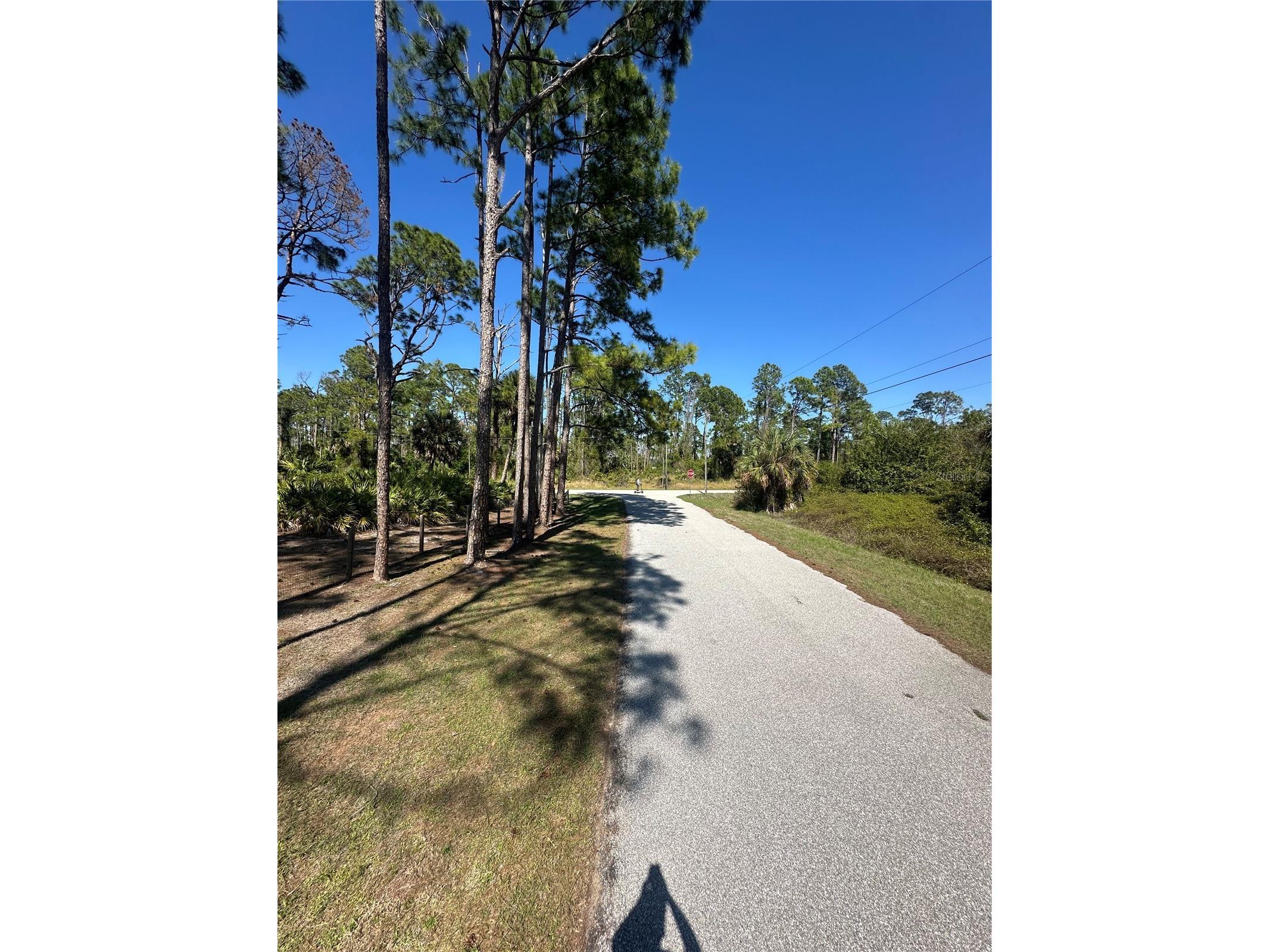 Pinewood Street North Port FL 34288 TB8489741 image8