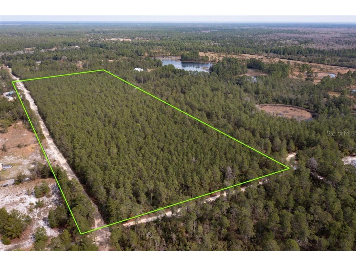 Piney Acres Trail Paisley FL 32767 O6179968 image1