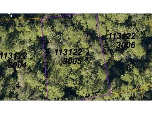 Pinklady Lane North Port FL 34288 O6188398 image3