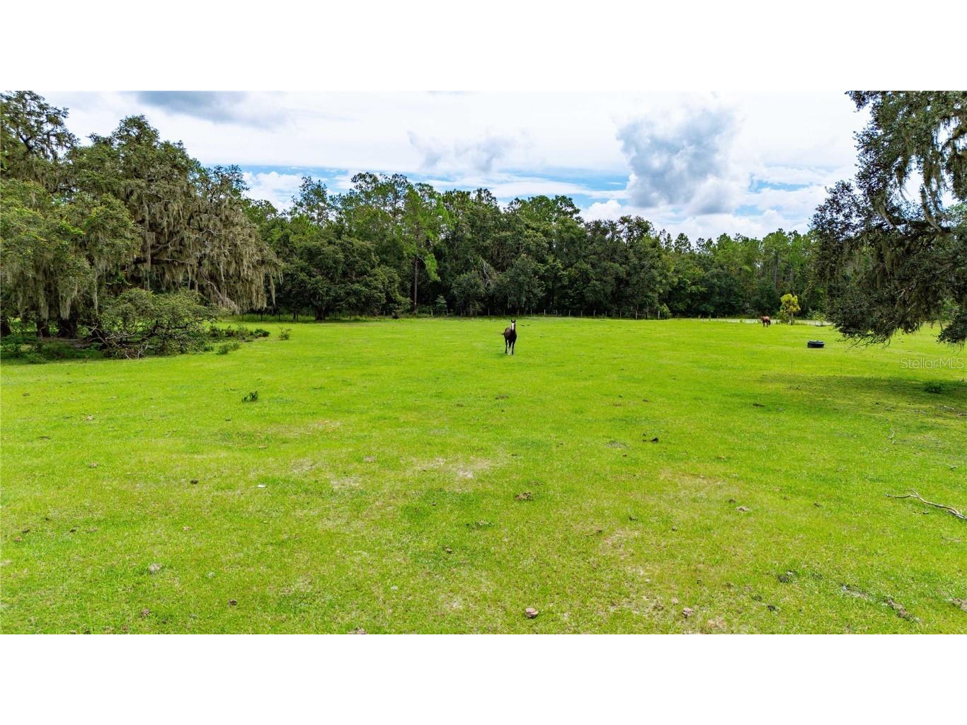 Pinkston Road Dade City FL 33523 TB8431012 image1