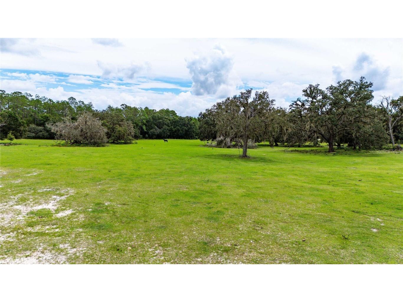 Pinkston Road Dade City FL 33523 TB8431012 image14