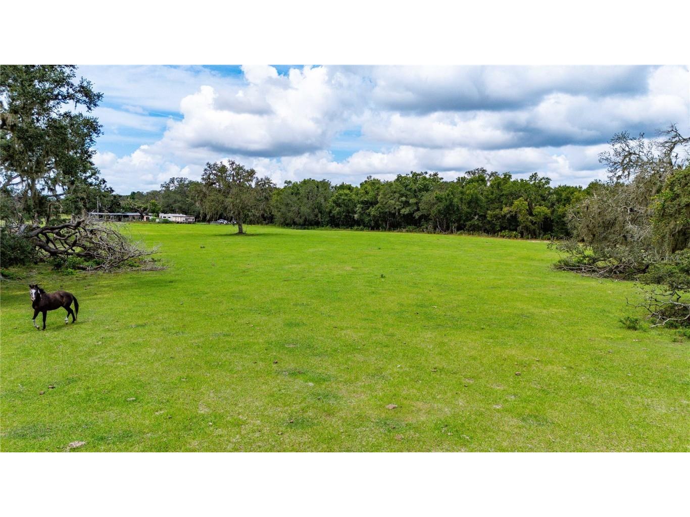 Pinkston Road Dade City FL 33523 TB8431012 image15