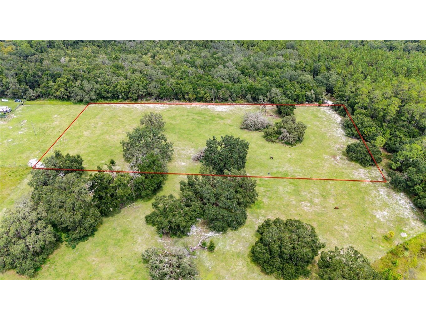 Pinkston Road Dade City FL 33523 TB8431012 image6