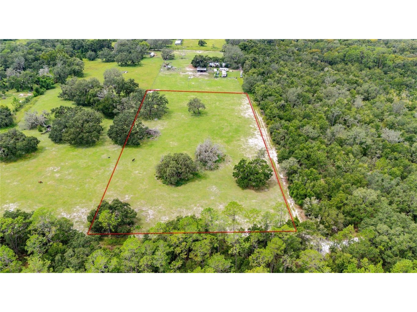 Pinkston Road Dade City FL 33523 TB8431012 image8