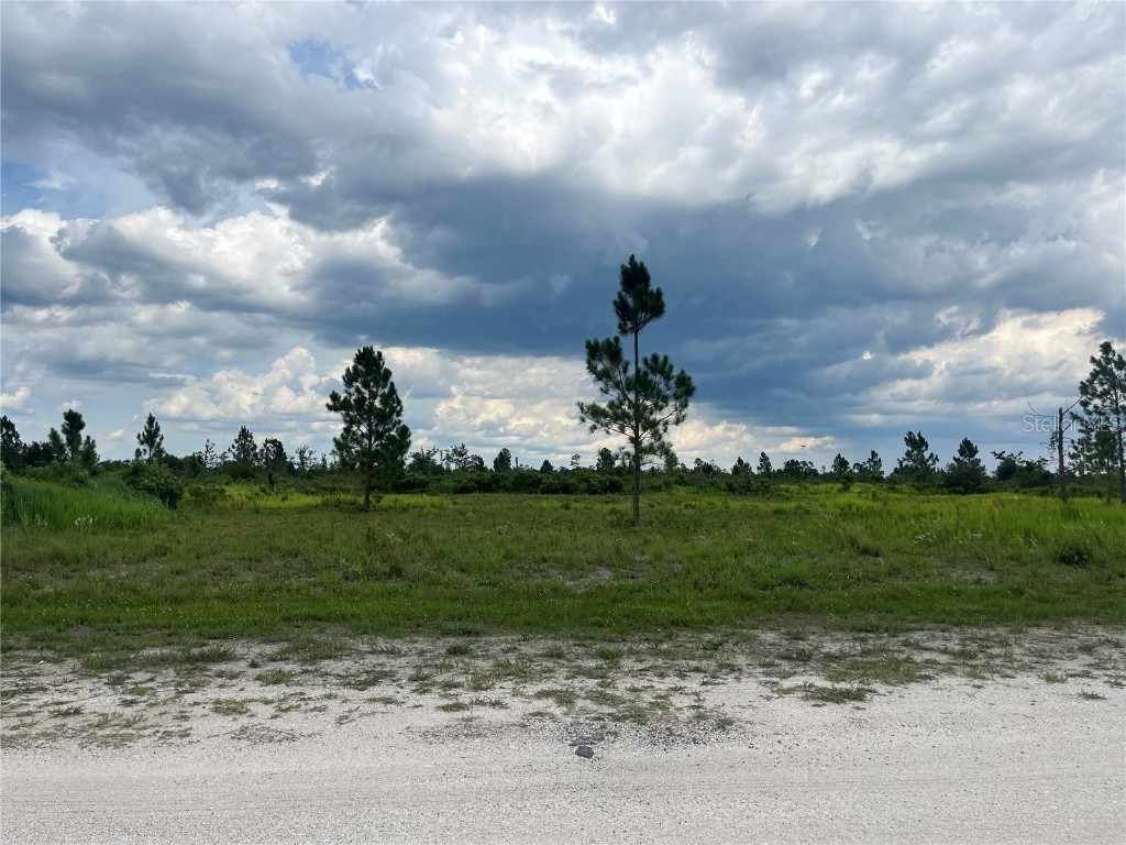 Pinnata Drive Indian Lake Estates FL 33855 OK224228 image1
