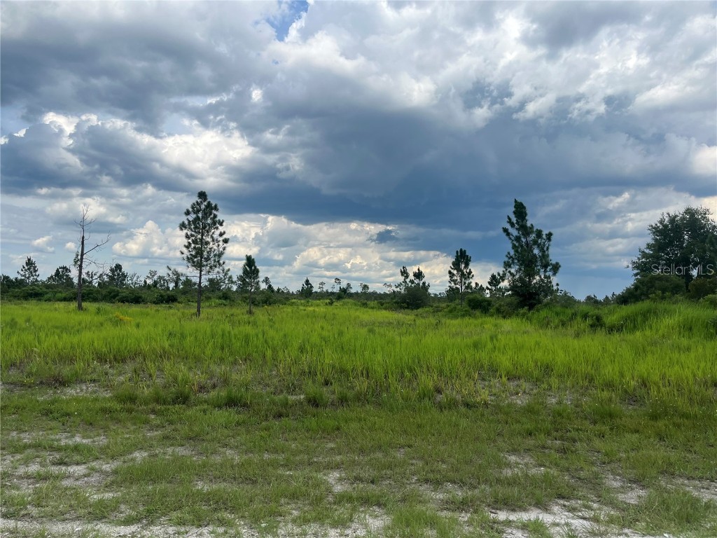 Pinnata Drive Lake Wales FL 33898 OK224233 image1