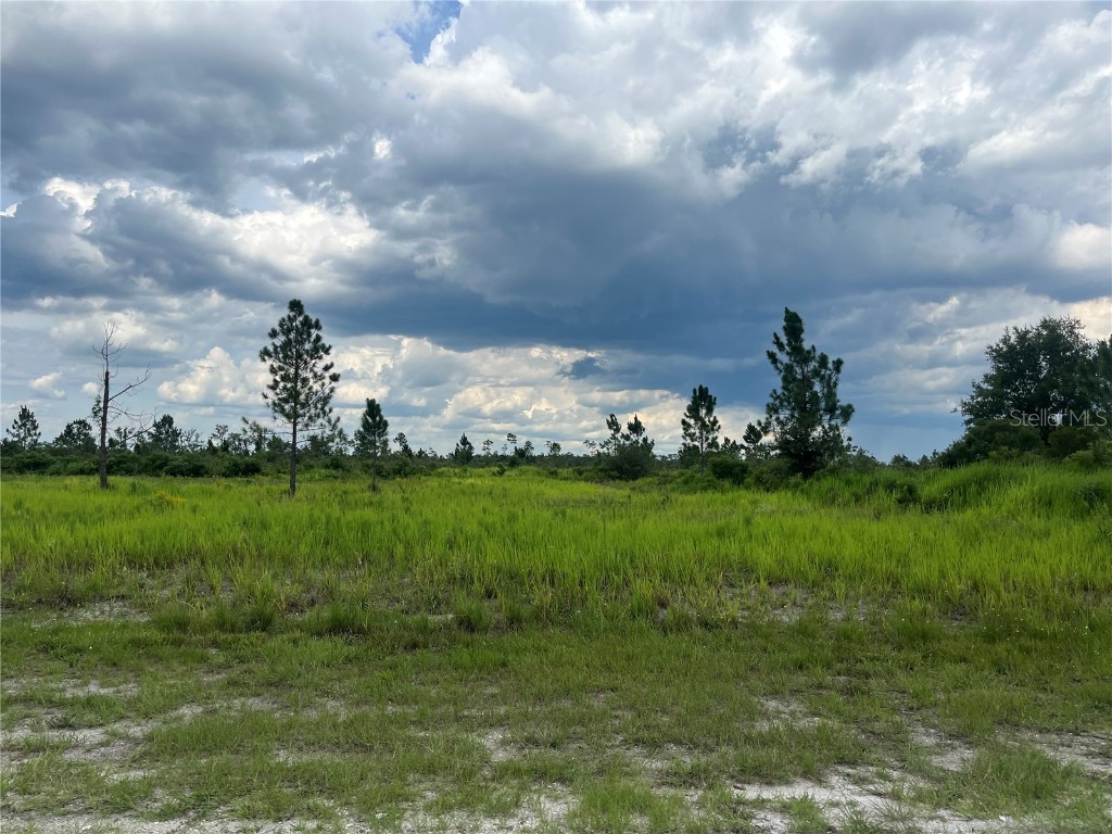 Pinnata Drive Lake Wales FL 33898 OK224233 image2