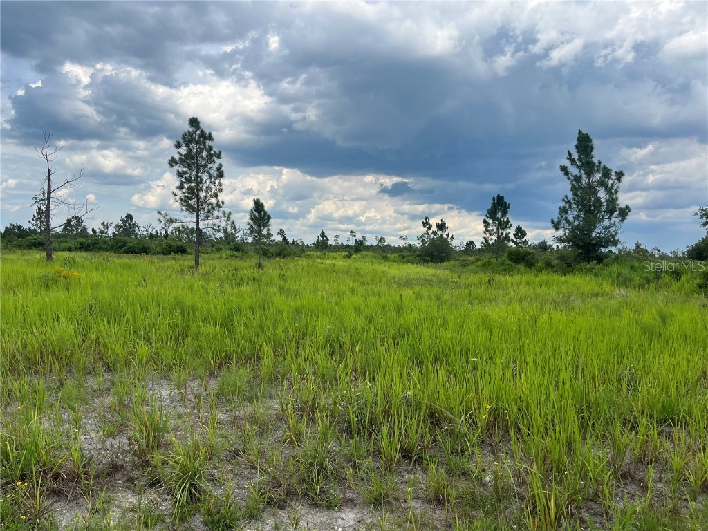 Pinnata Drive Lake Wales FL 33898 OK224233 image4