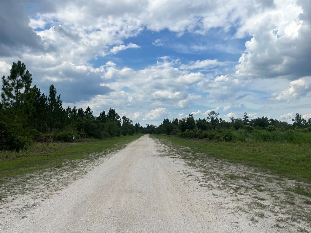 Pinnata Drive Lake Wales FL 33898 OK224233 image5