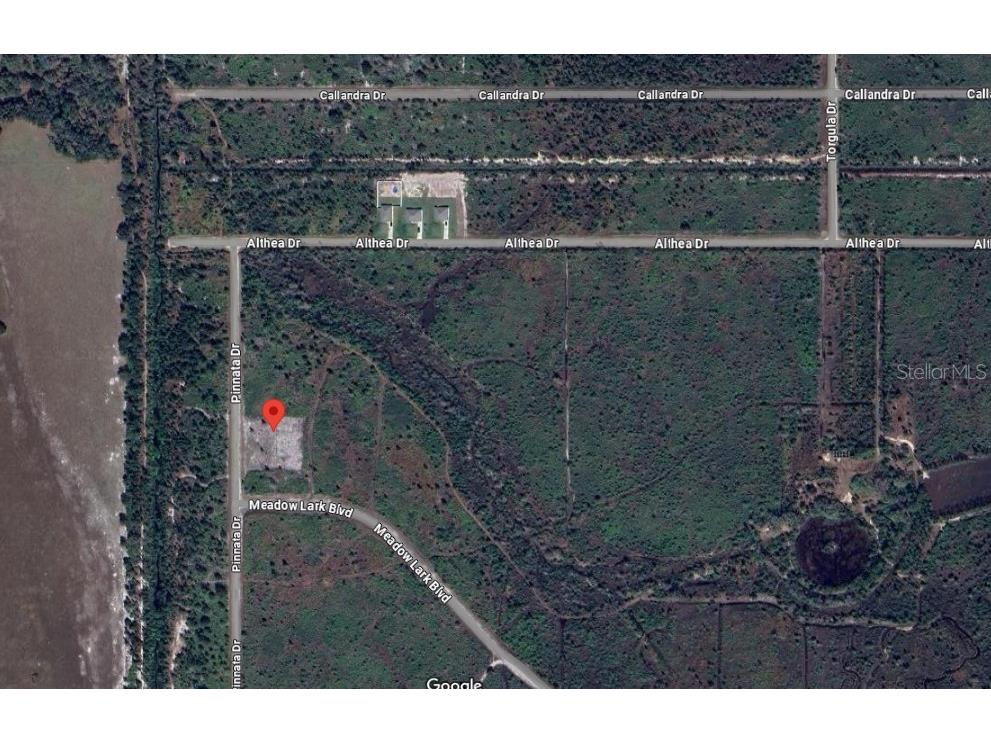 Pinnata Drive Lake Wales FL 33898 OK224233 image6