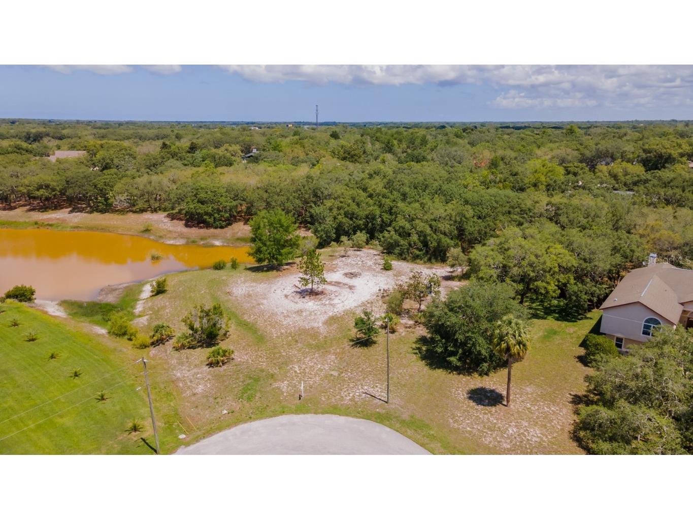 Pinola Drive Hudson FL 34667 T3450067 image1