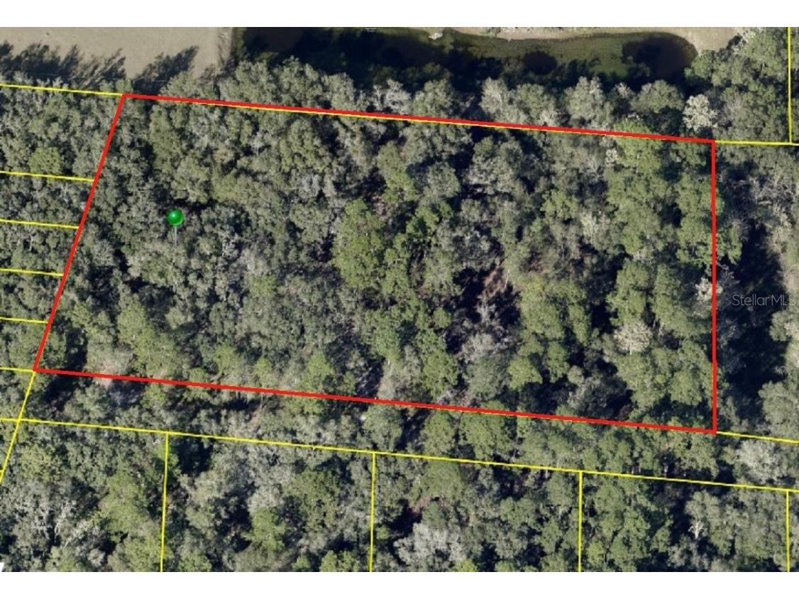 Pinon Drive Webster FL 33597 T3435173 image1