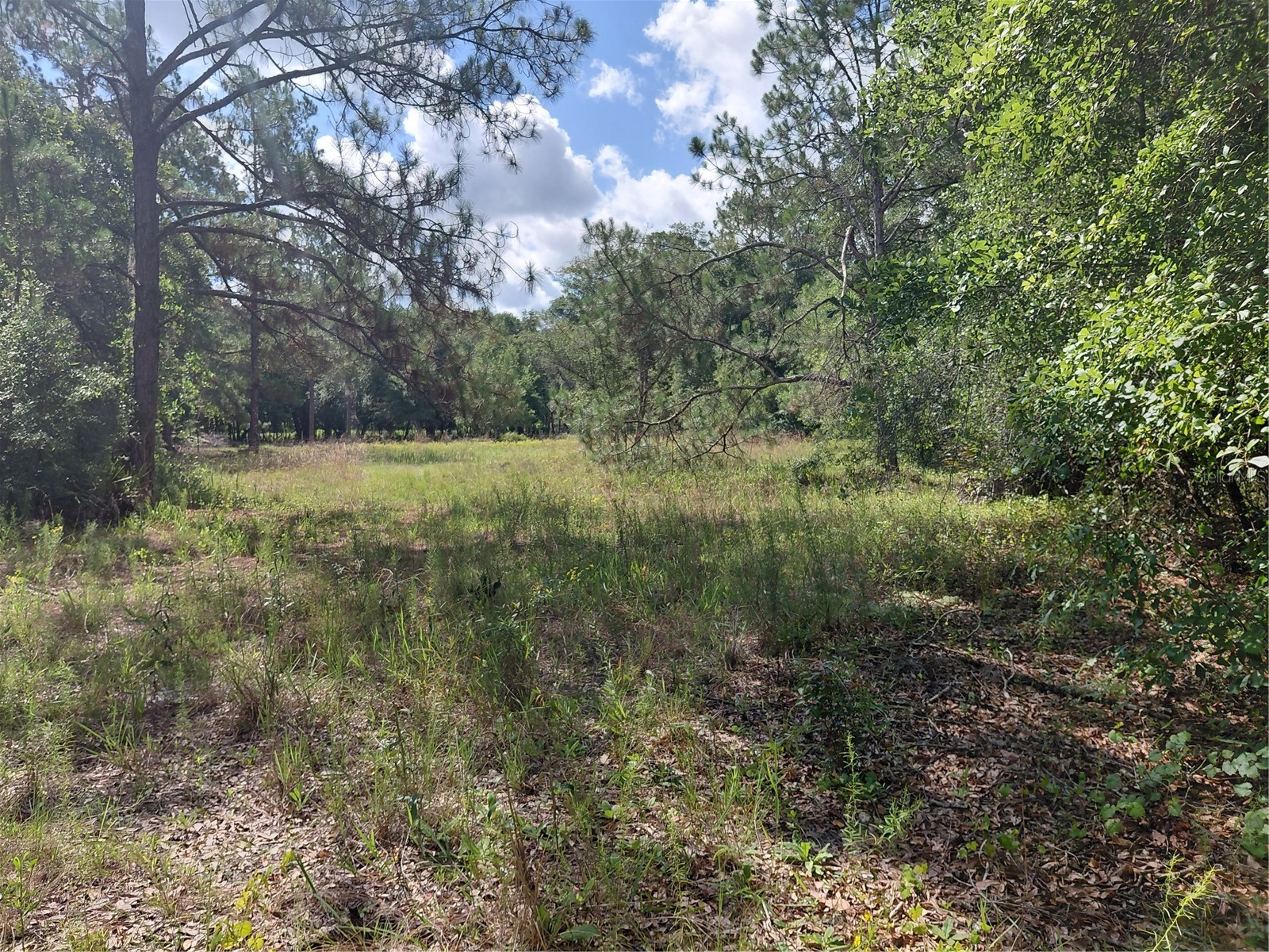 Pinon Drive Webster FL 33597 G5114760 image1