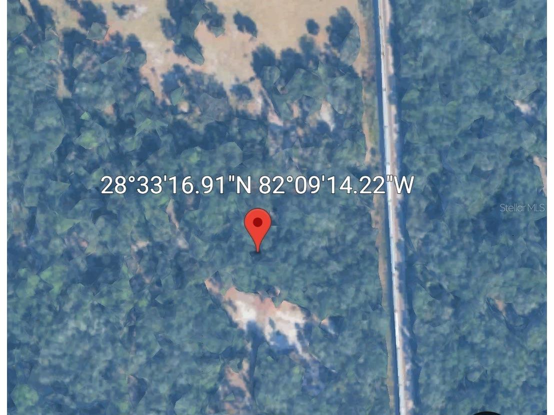 Pinon Drive Webster FL 33597 G5114760 image10