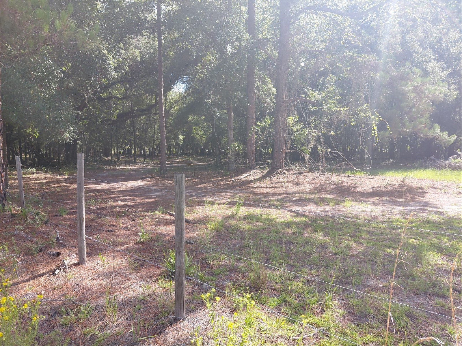 Pinon Drive Webster FL 33597 G5114760 image14