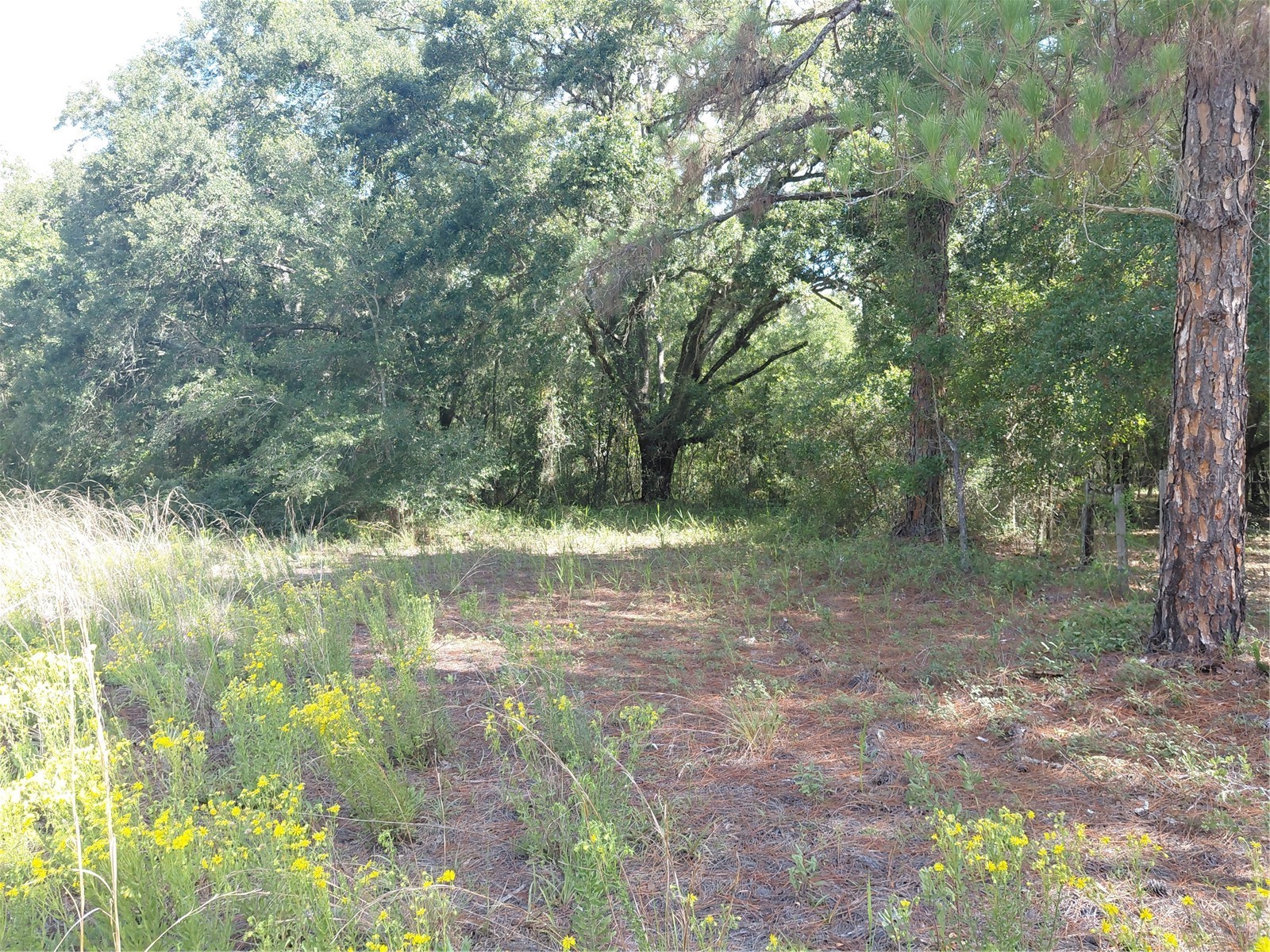 Pinon Drive Webster FL 33597 G5114760 image15