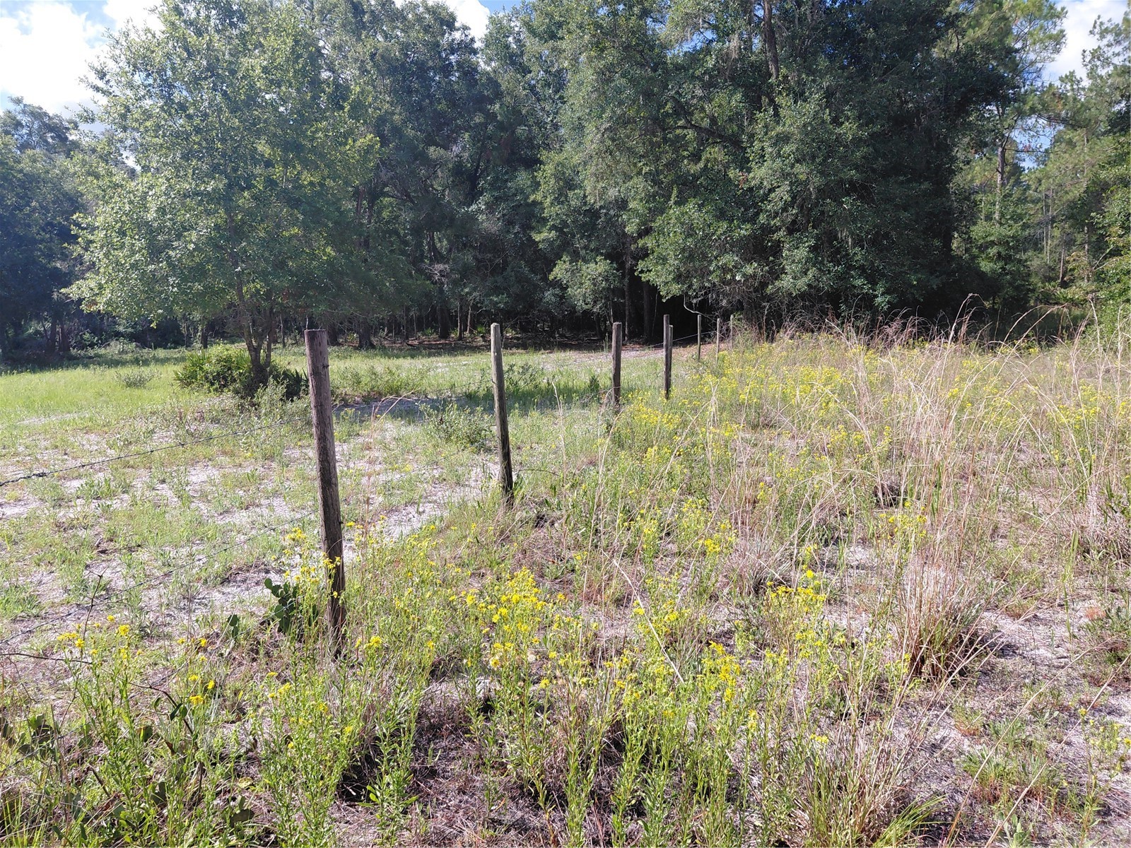 Pinon Drive Webster FL 33597 G5114760 image16