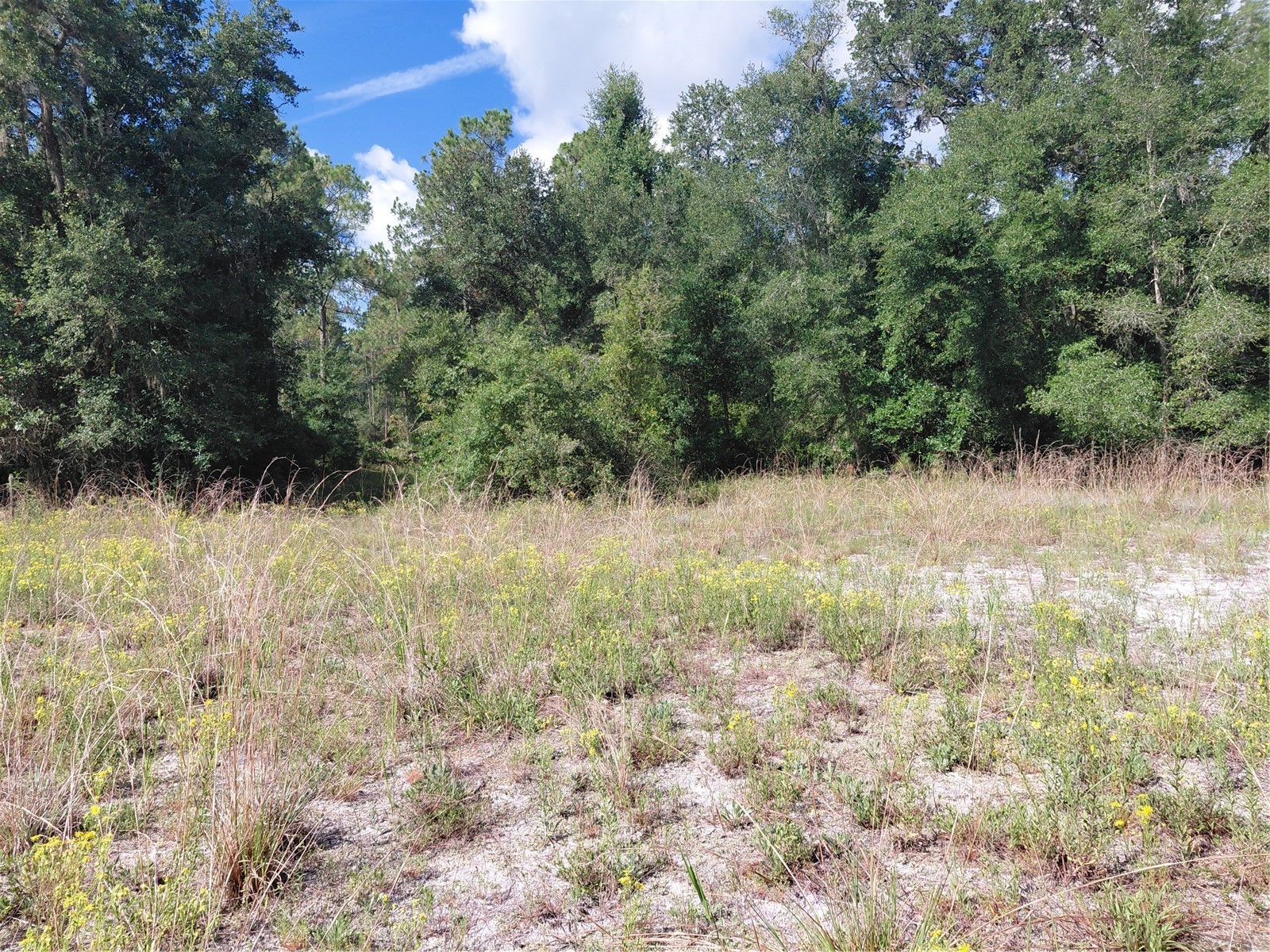 Pinon Drive Webster FL 33597 G5114760 image17