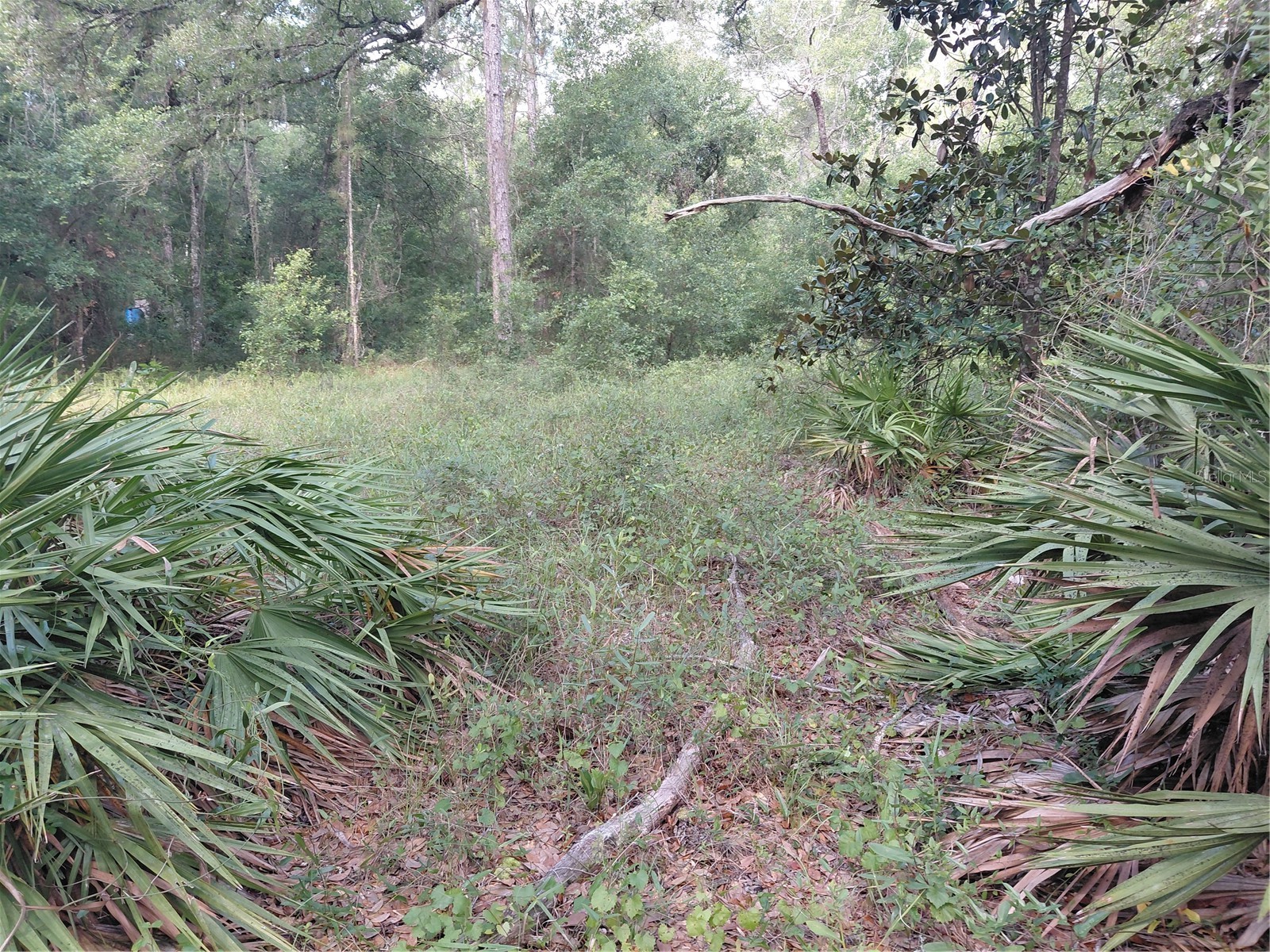 Pinon Drive Webster FL 33597 G5114760 image18